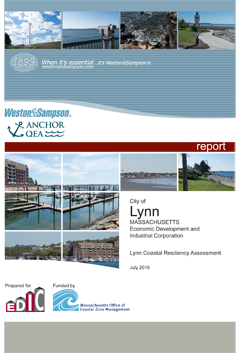 cover of report
